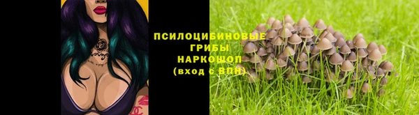мяу мяу мука Алексин