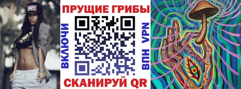 кракен маркетплейс  Черкесск  Псилоцибиновые грибы GOLDEN TEACHER 