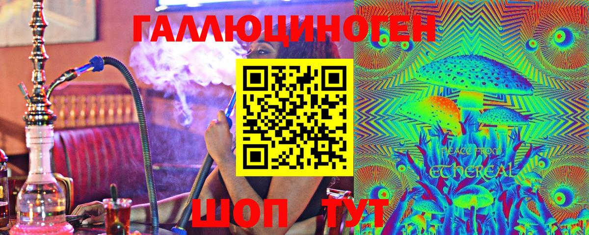Псилоцибиновые грибы Psilocybe Черкесск
