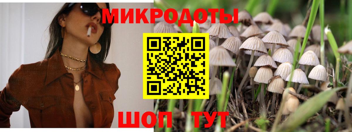 Черкесск  Галлюциногенные грибы Magic Shrooms  Вход с VPN 