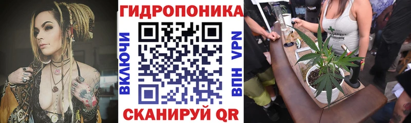 Бошки Шишки план  hydra онион  Черкесск  закладки 